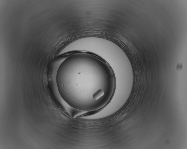 X0000090760558200708031632