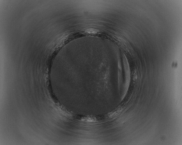 X0000090760559200708031632