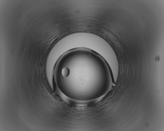 X0000090760560200708031632