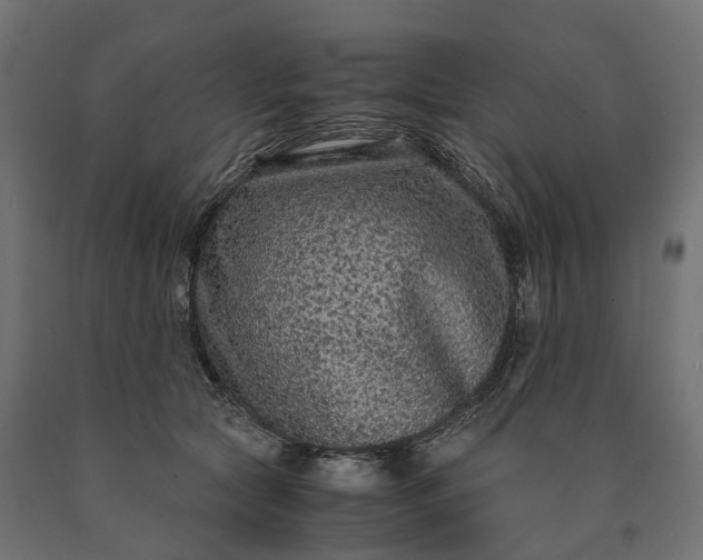 X0000090760561200708031633