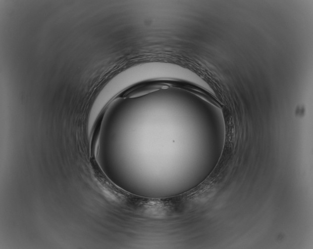 X0000090760562200708031633