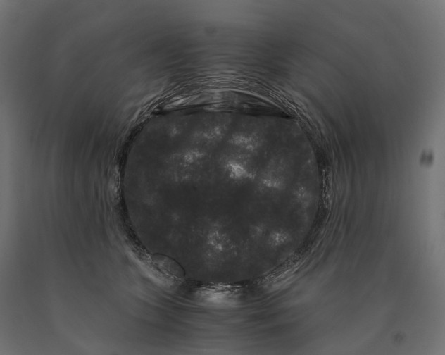 X0000090760563200708031633