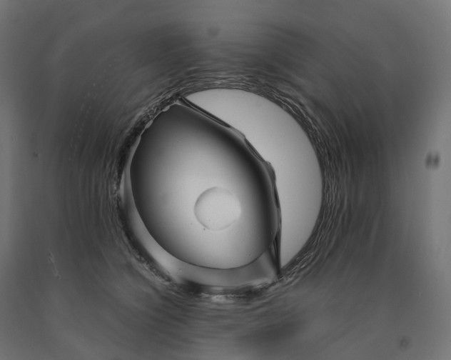 X0000090760564200708031633