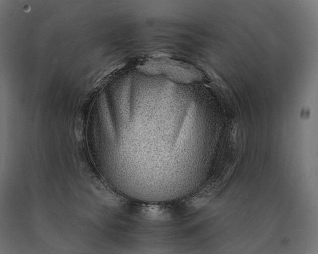 X0000090760565200708031633