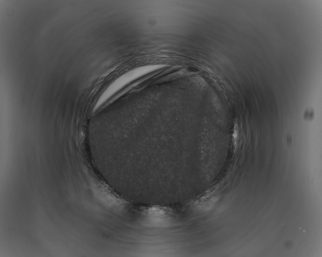 X0000090760566200708031633