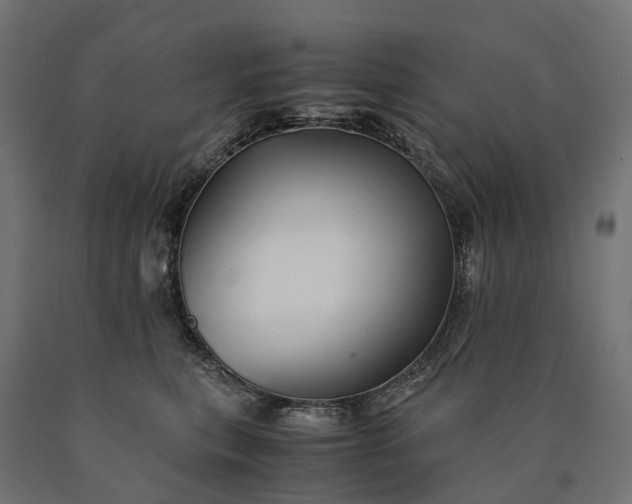 X0000090760567200708031633