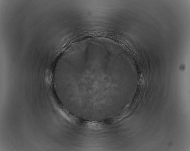 X0000090760568200708031633