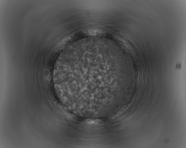 X0000090760569200708031633