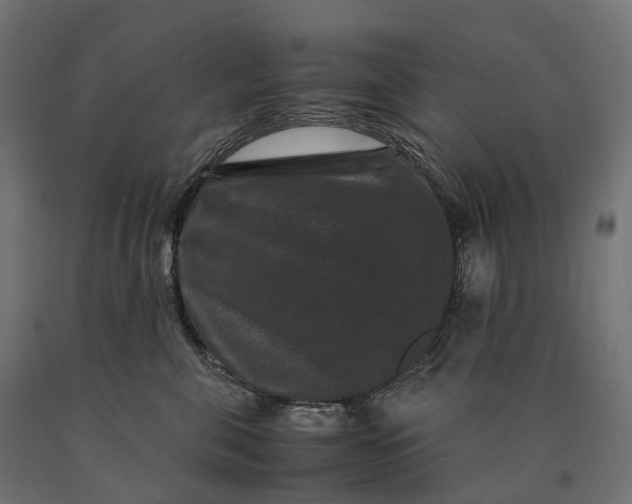 X0000090760571200708031633