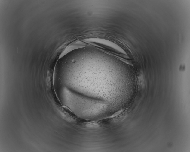 X0000090760572200708031633