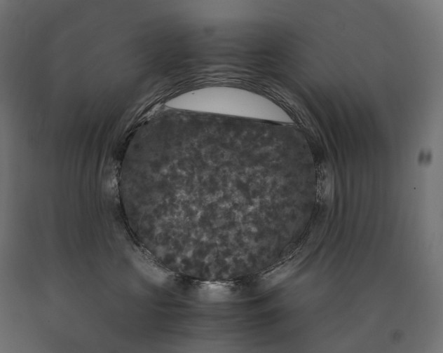 X0000090760573200708031633