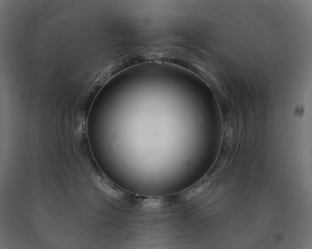 X0000090760574200708031633