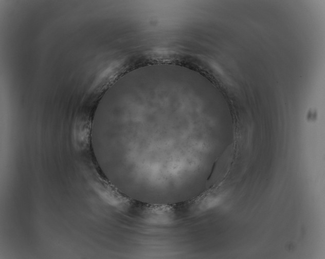 X0000090760576200708031633