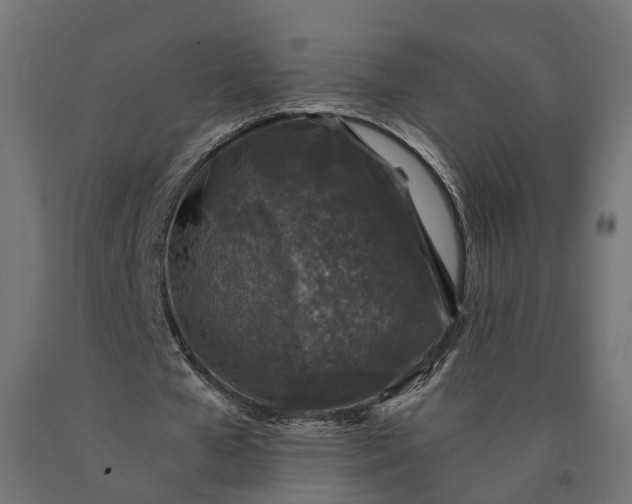 X0000090760577200708031632