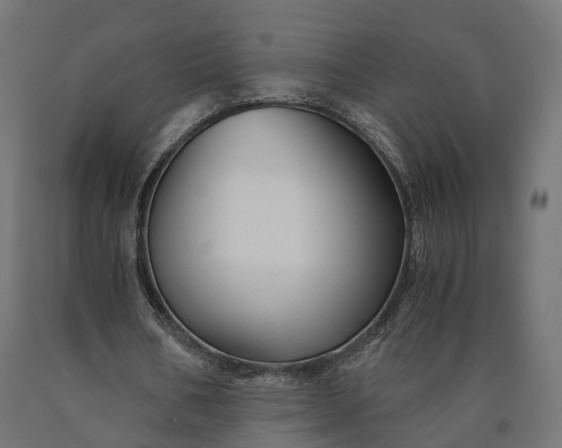 X0000090760578200708031632