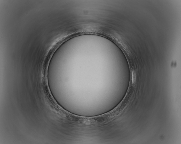 X0000090760579200708031632