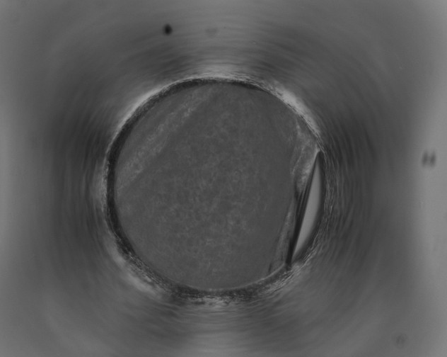 X0000090760580200708031632