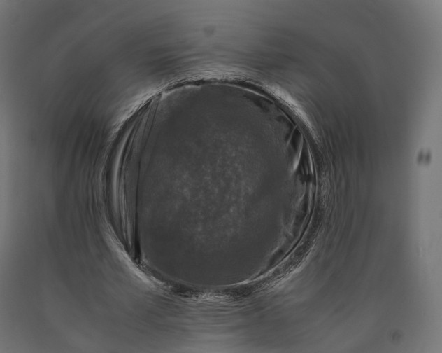 X0000090760581200708031632