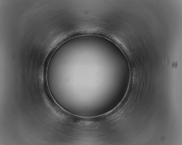 X0000090760582200708031632