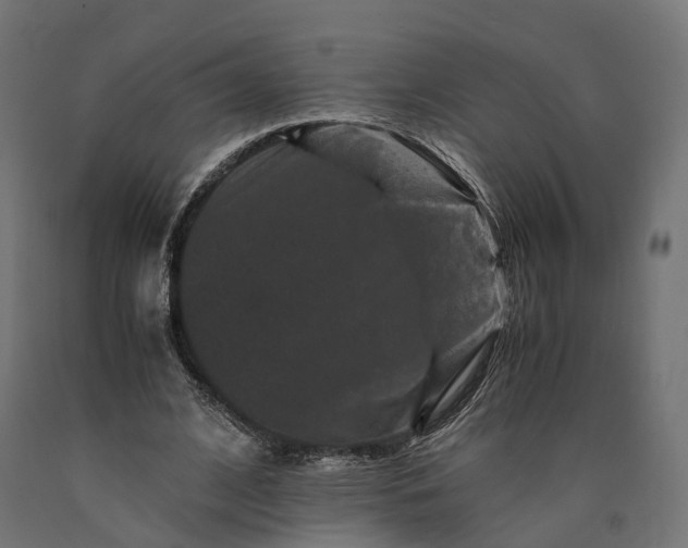 X0000090760584200708031632