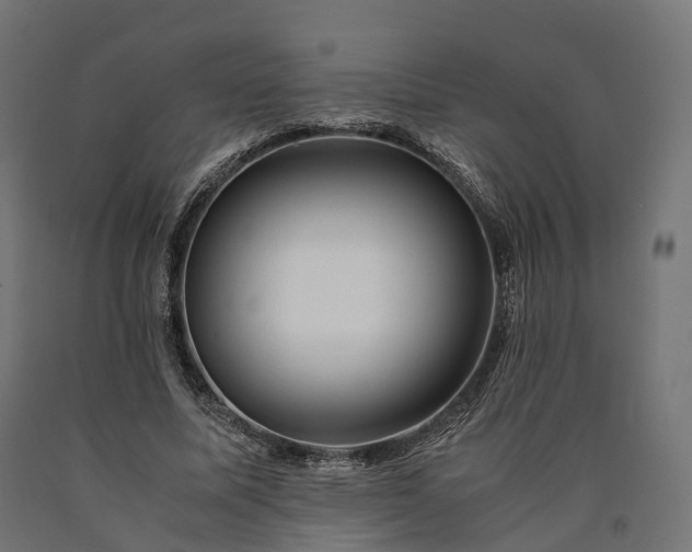 X0000090760587200708031632