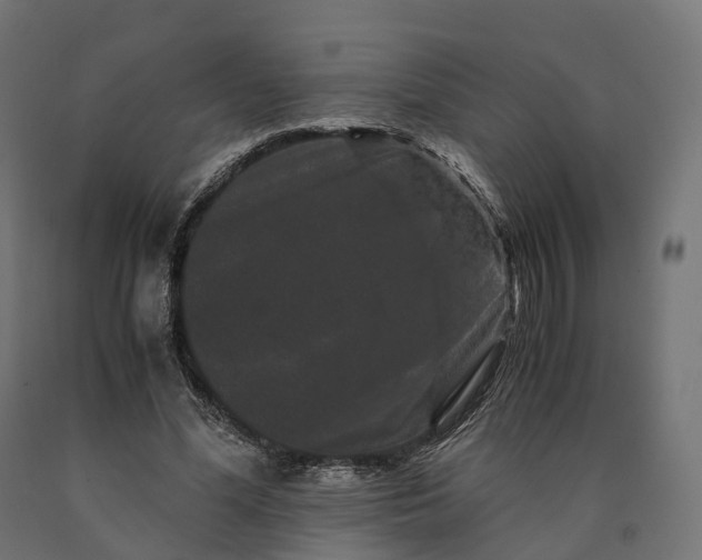 X0000090760588200708031632