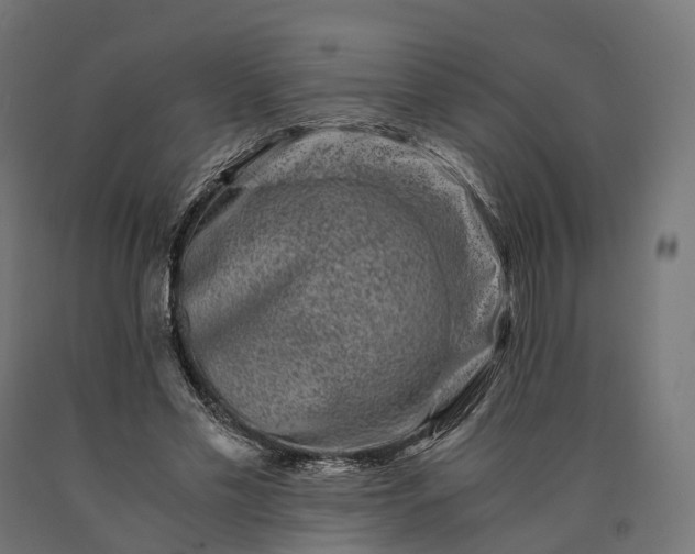 X0000090760589200708031632