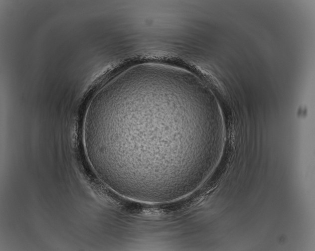 X0000090760591200708031632