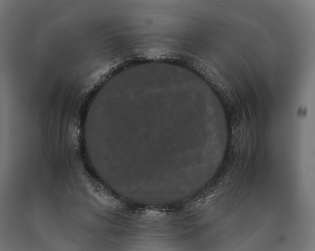 X0000090760592200708031632