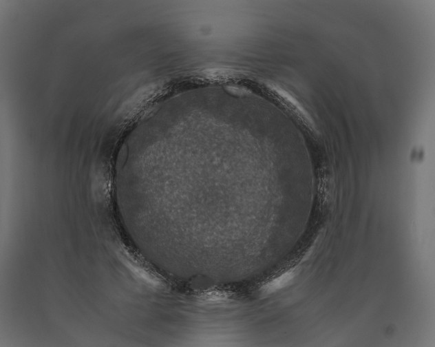 X0000090760593200708031632