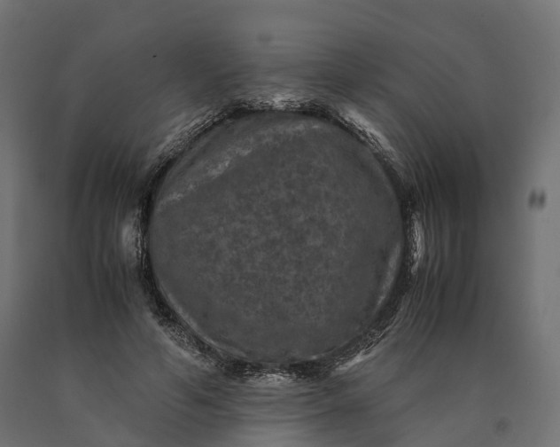 X0000090760594200708031632