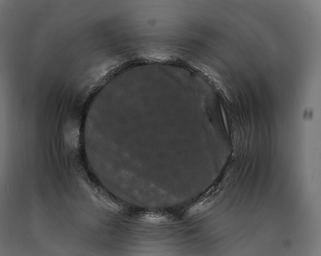 X0000090760596200708031632