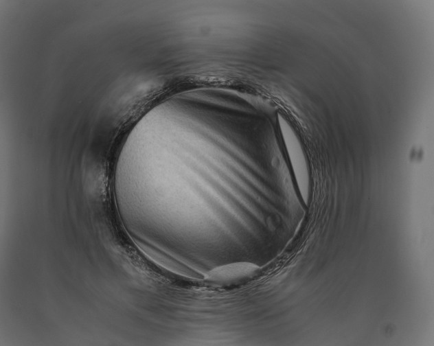 X0000090760597200708031632