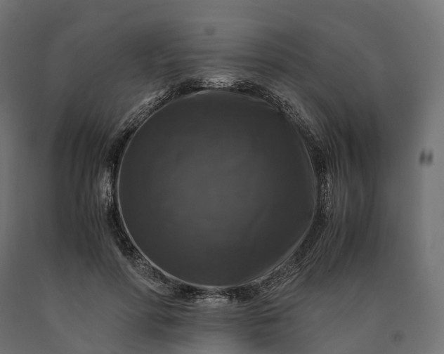 X0000090760598200708031632