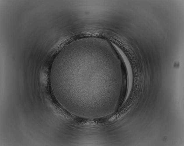 X0000090760600200708031632