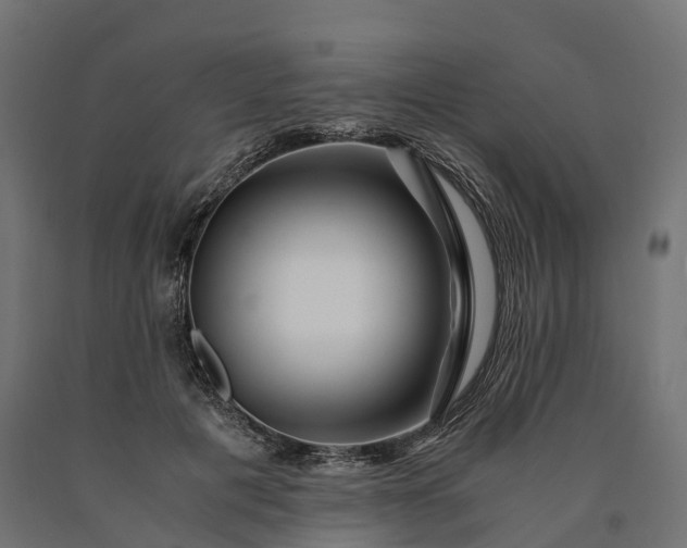 X0000090760601200708031632