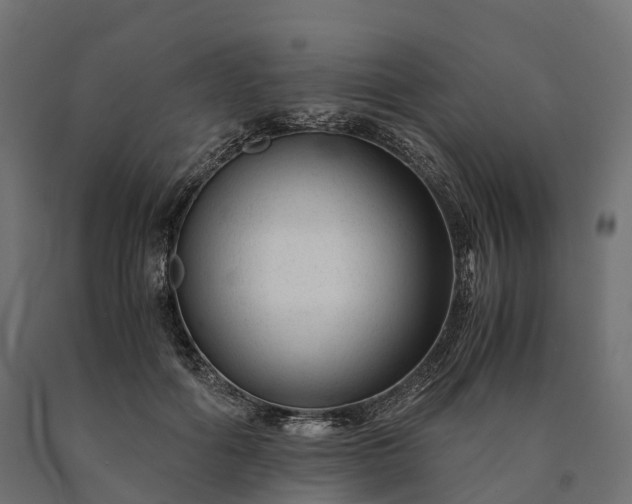 X0000090760602200708031632