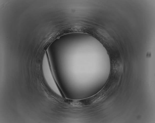 X0000090760603200708031632