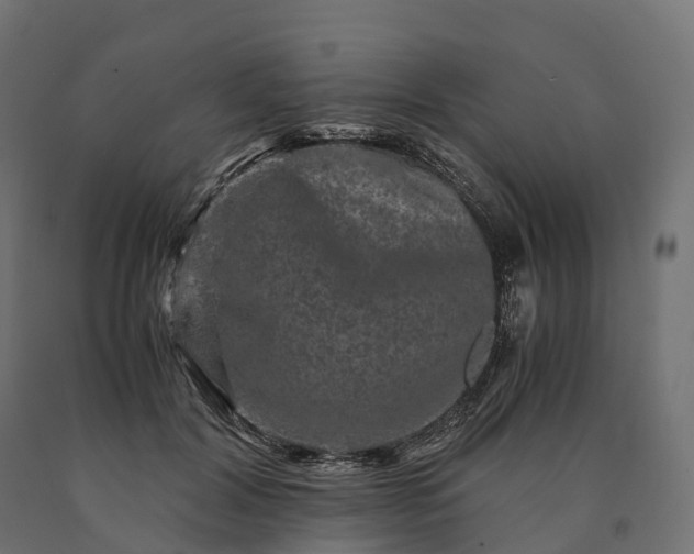 X0000090760604200708031632