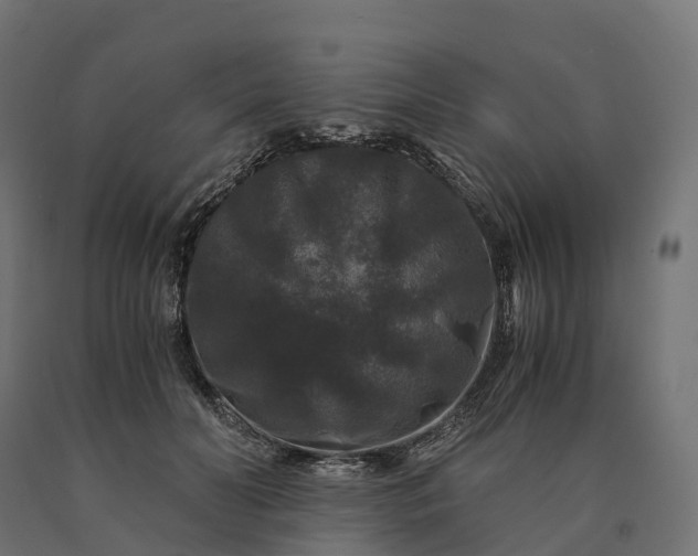 X0000090760606200708031632