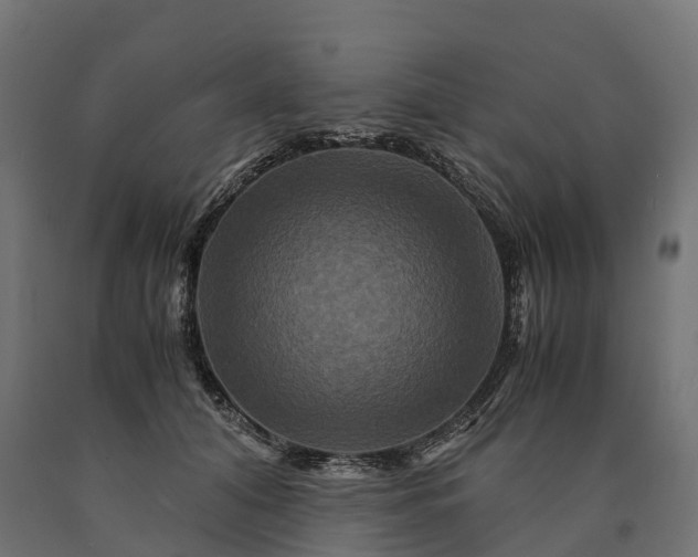 X0000090760608200708031632