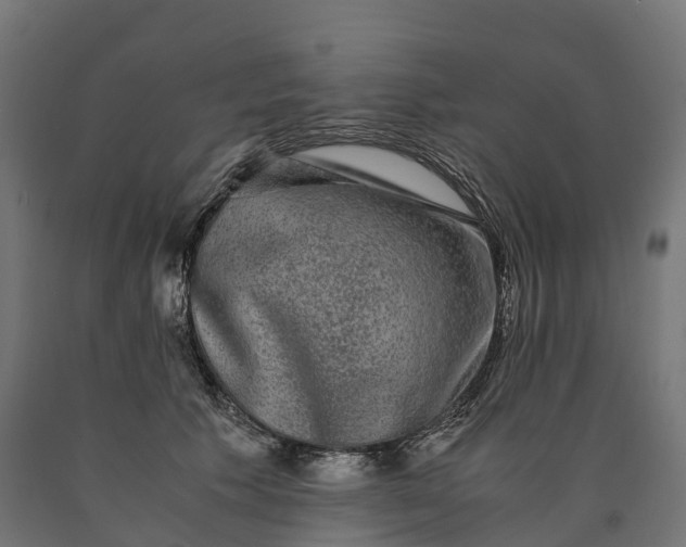 X0000090760609200708031632