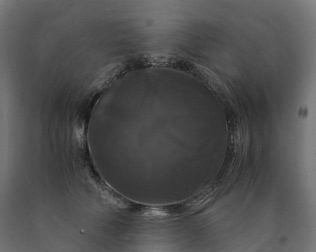 X0000090760610200708031632