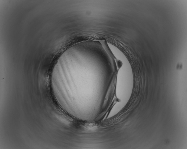 X0000090760613200708031632