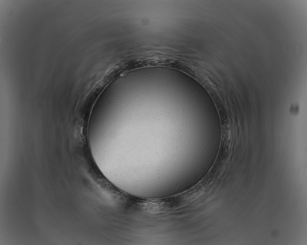 X0000090760615200708031632