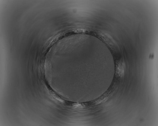 X0000090760616200708031632