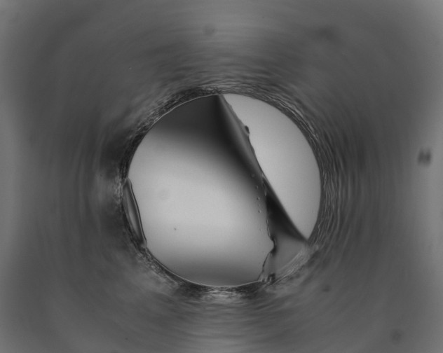 X0000090760617200708031631