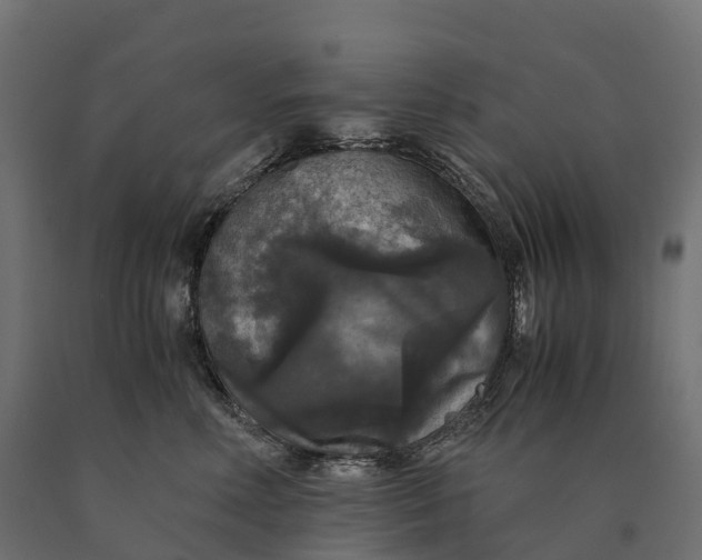 X0000090760618200708031631