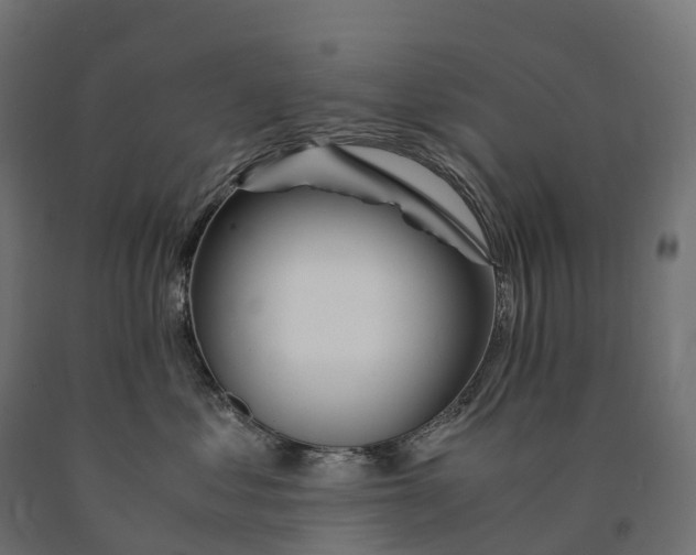 X0000090760621200708031631