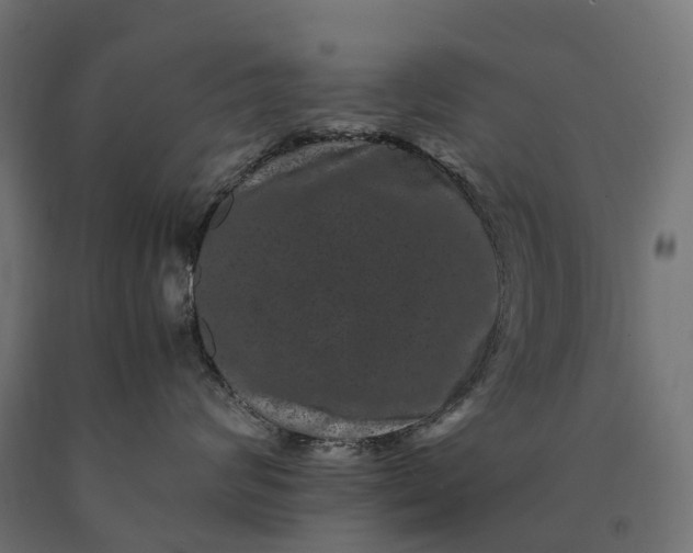 X0000090760624200708031631